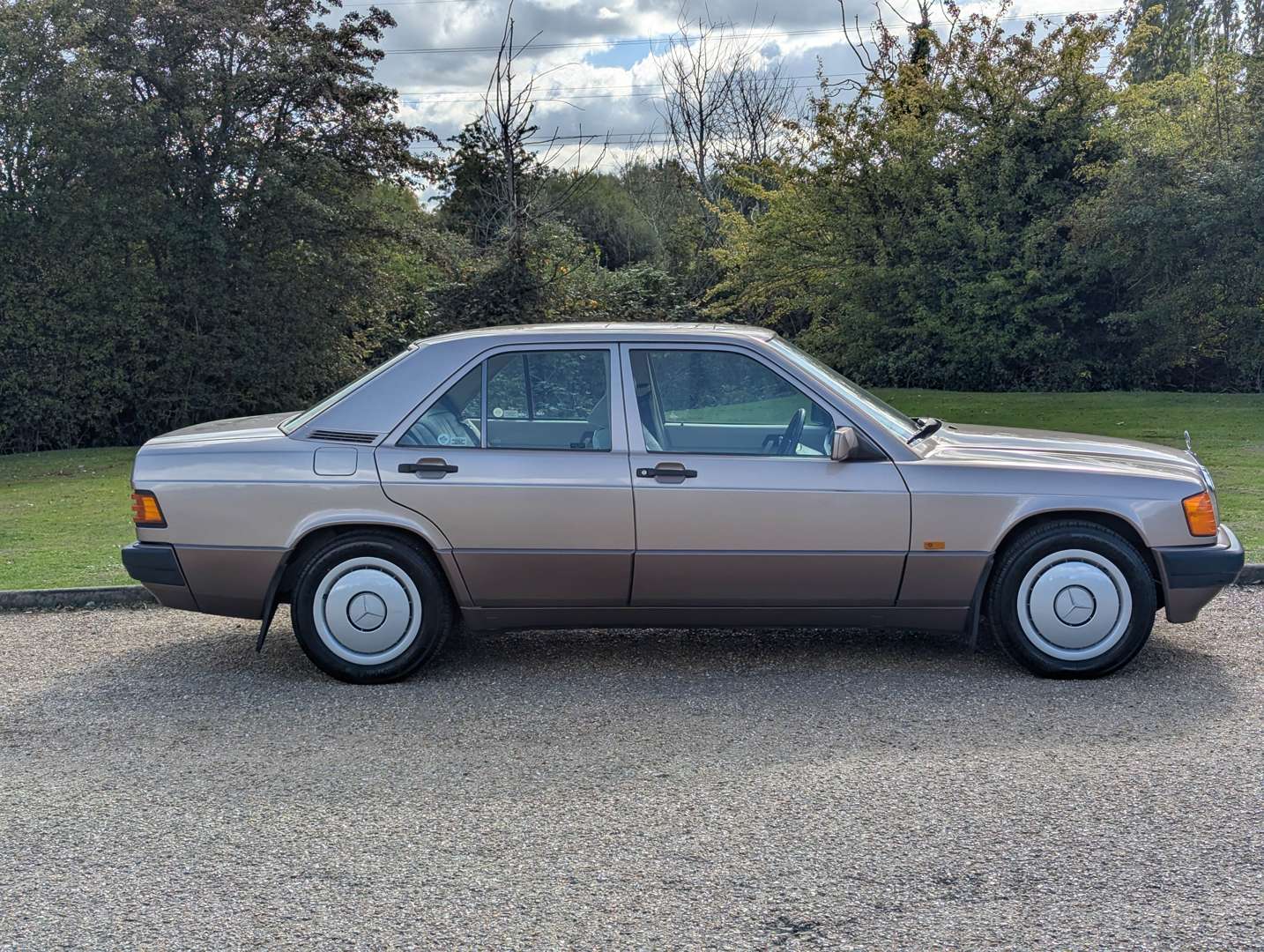 <p>1993 MERCEDES 190E 2.0 AUTO</p>