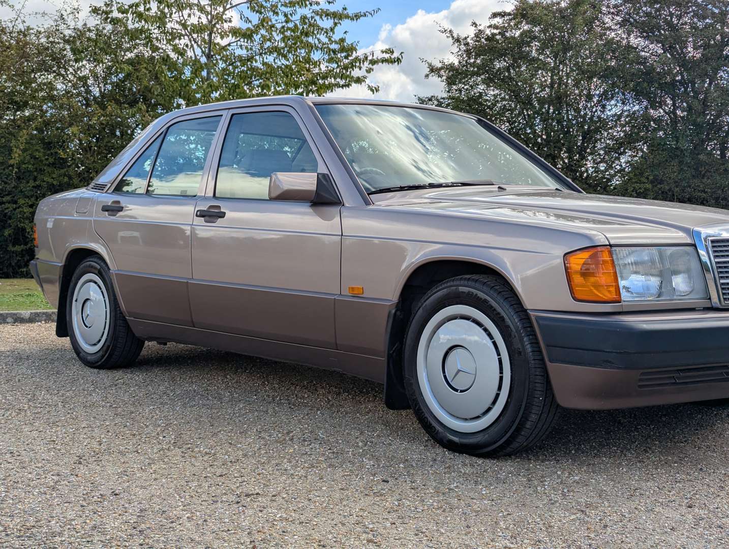 <p>1993 MERCEDES 190E 2.0 AUTO</p>