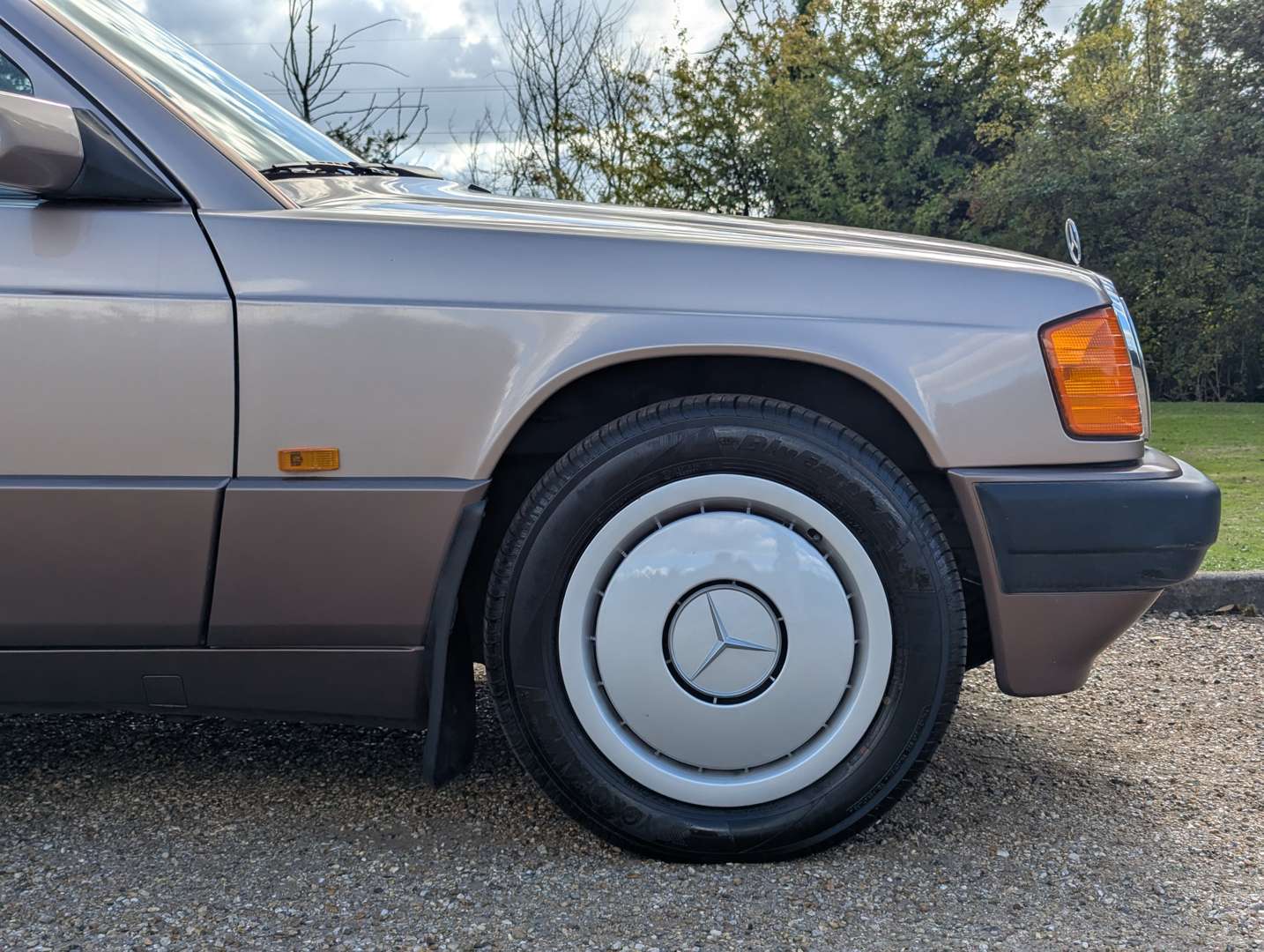 <p>1993 MERCEDES 190E 2.0 AUTO</p>