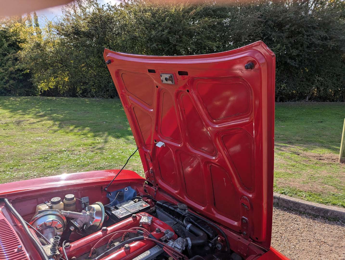 <p>1976 ALFA ROMEO 1600 GT JUNIOR</p>