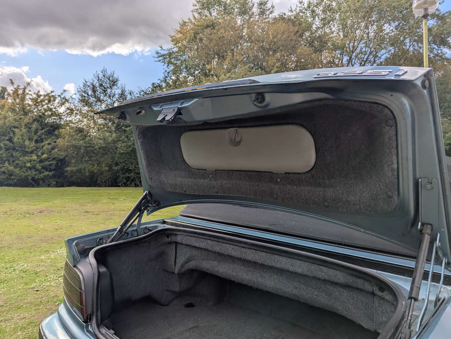 <p>1994 BMW E36 325I CONVERTIBLE</p>