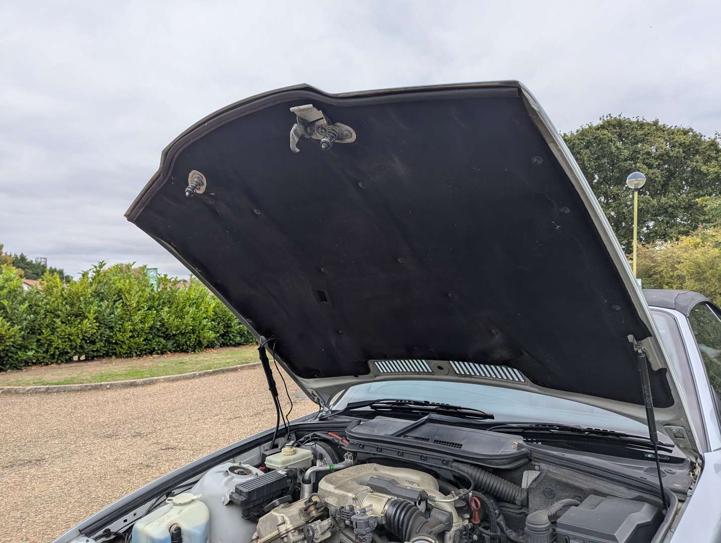 <p>1999 BMW 318I CONVERTIBLE</p>