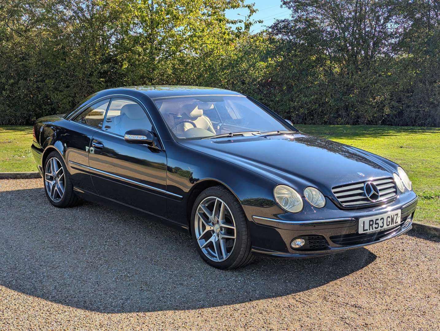 <p>2003 MERCEDES CL500 AUTO</p>