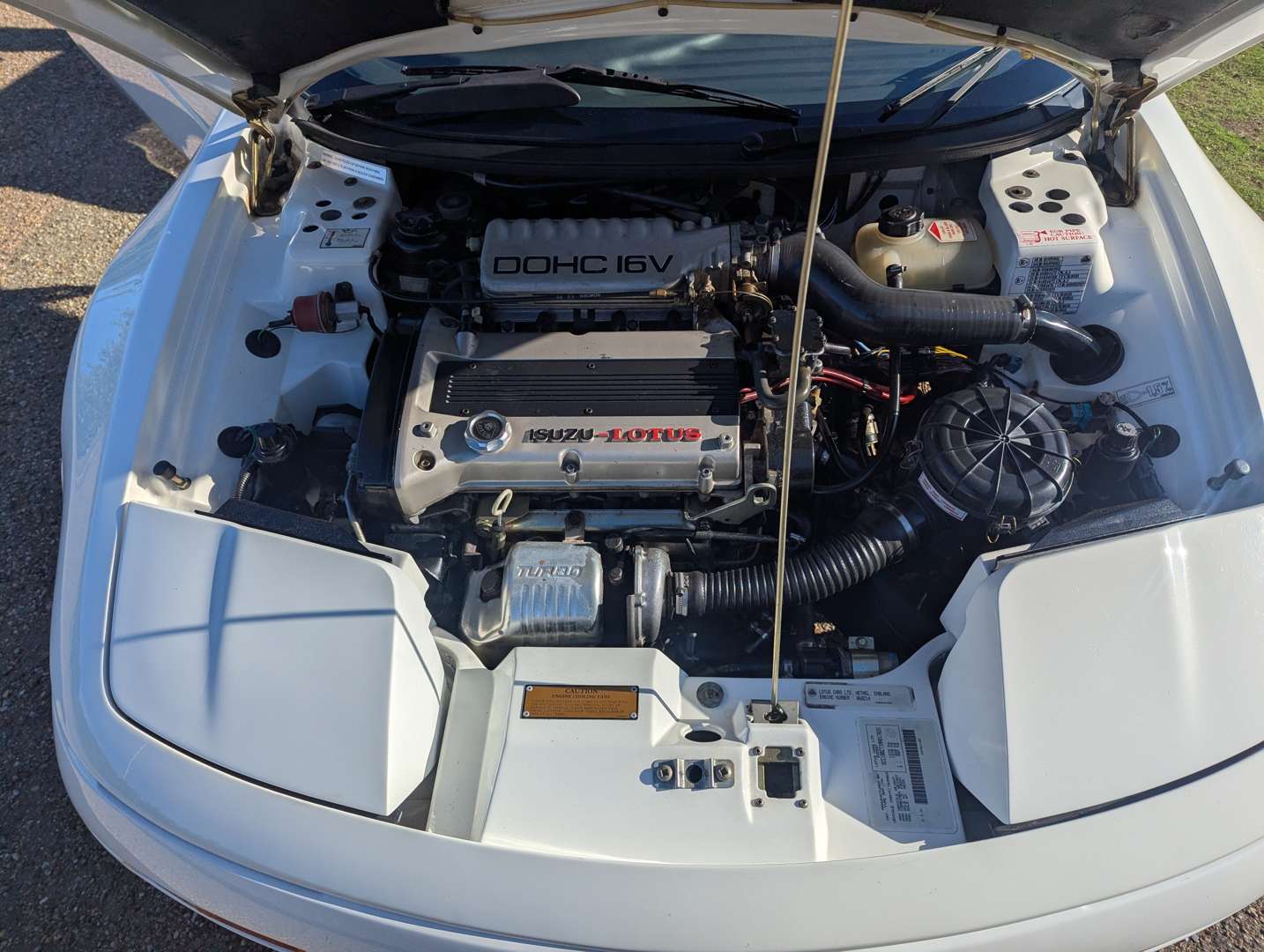 <p>1992 LOTUS ELAN M100 SE TURBO - 25,378 MILES</p>