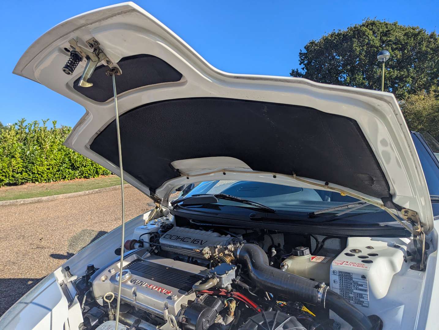 <p>1992 LOTUS ELAN M100 SE TURBO - 25,378 MILES</p>