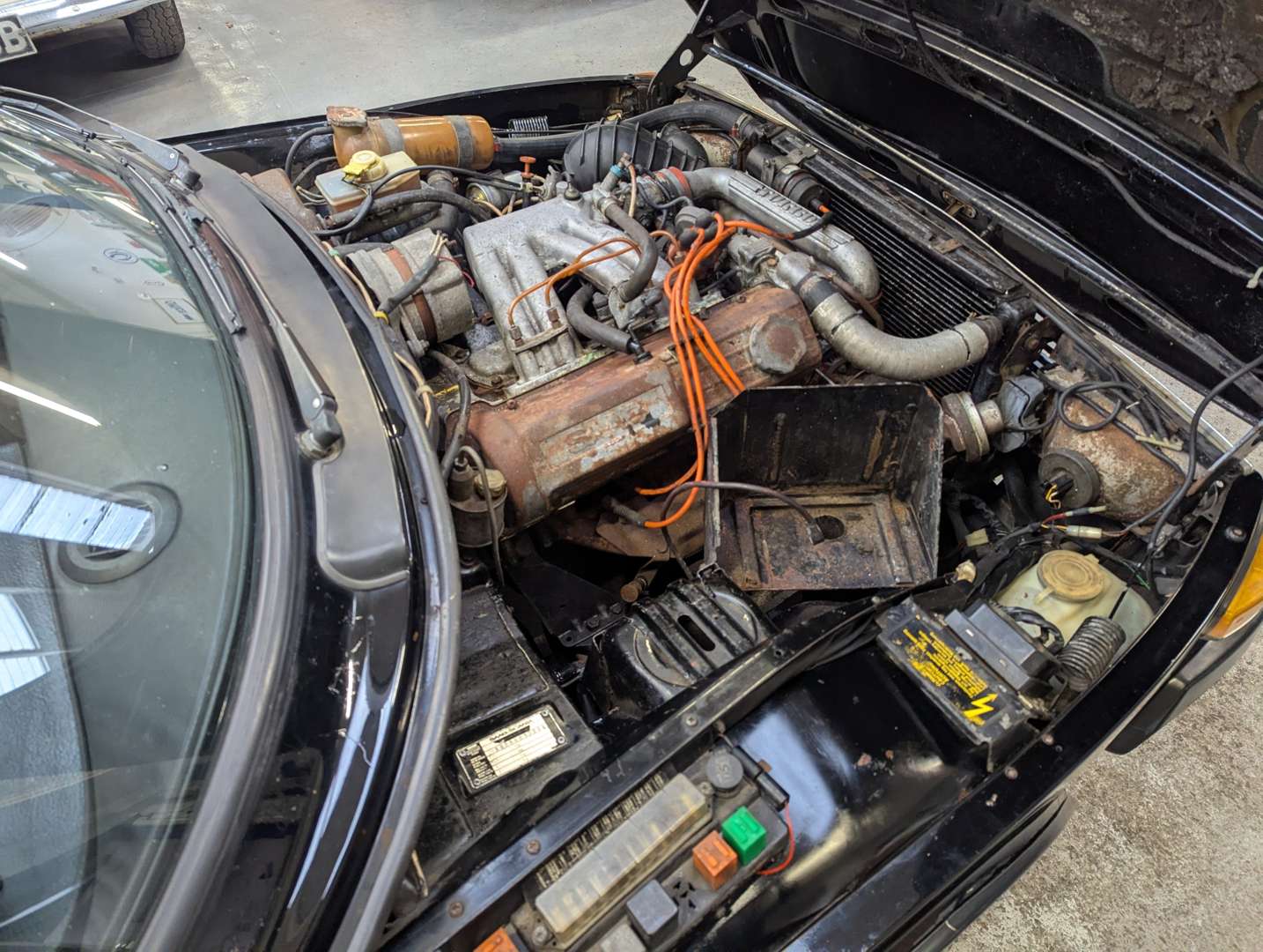 <p>1981 SAAB 99 TURBO</p>