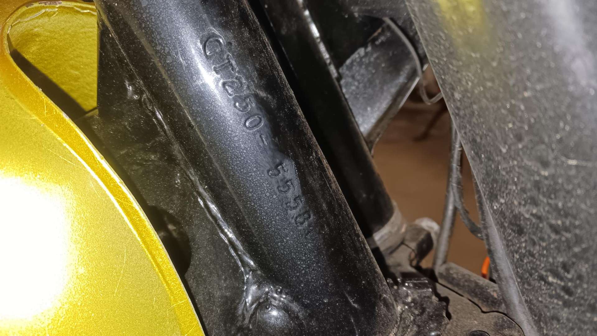 <p>1975 SUZUKI GT250</p>