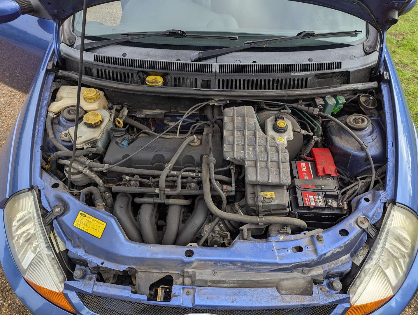 <p>2006 FORD STREETKA ICE</p>