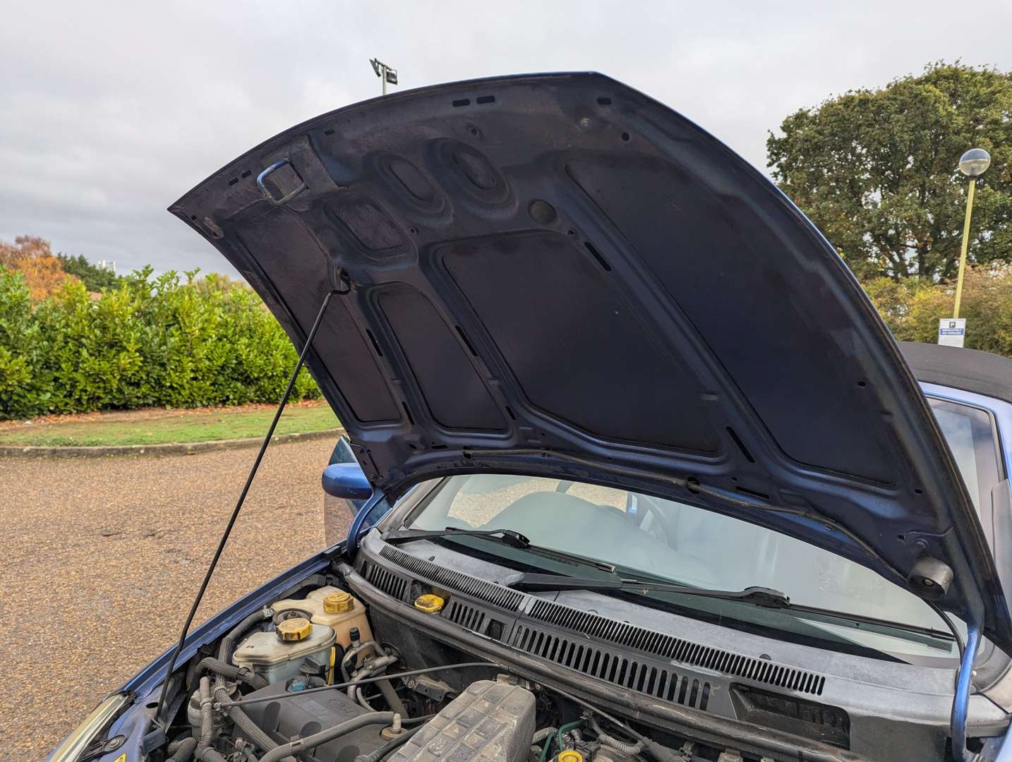 <p>2006 FORD STREETKA ICE</p>