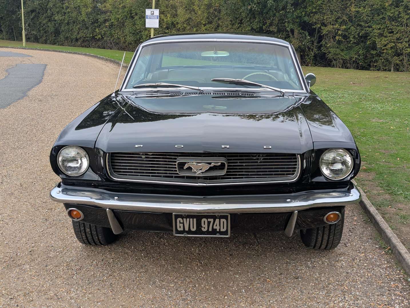 <p>1966 FORD MUSTANG 4.7 AUTO LHD</p>