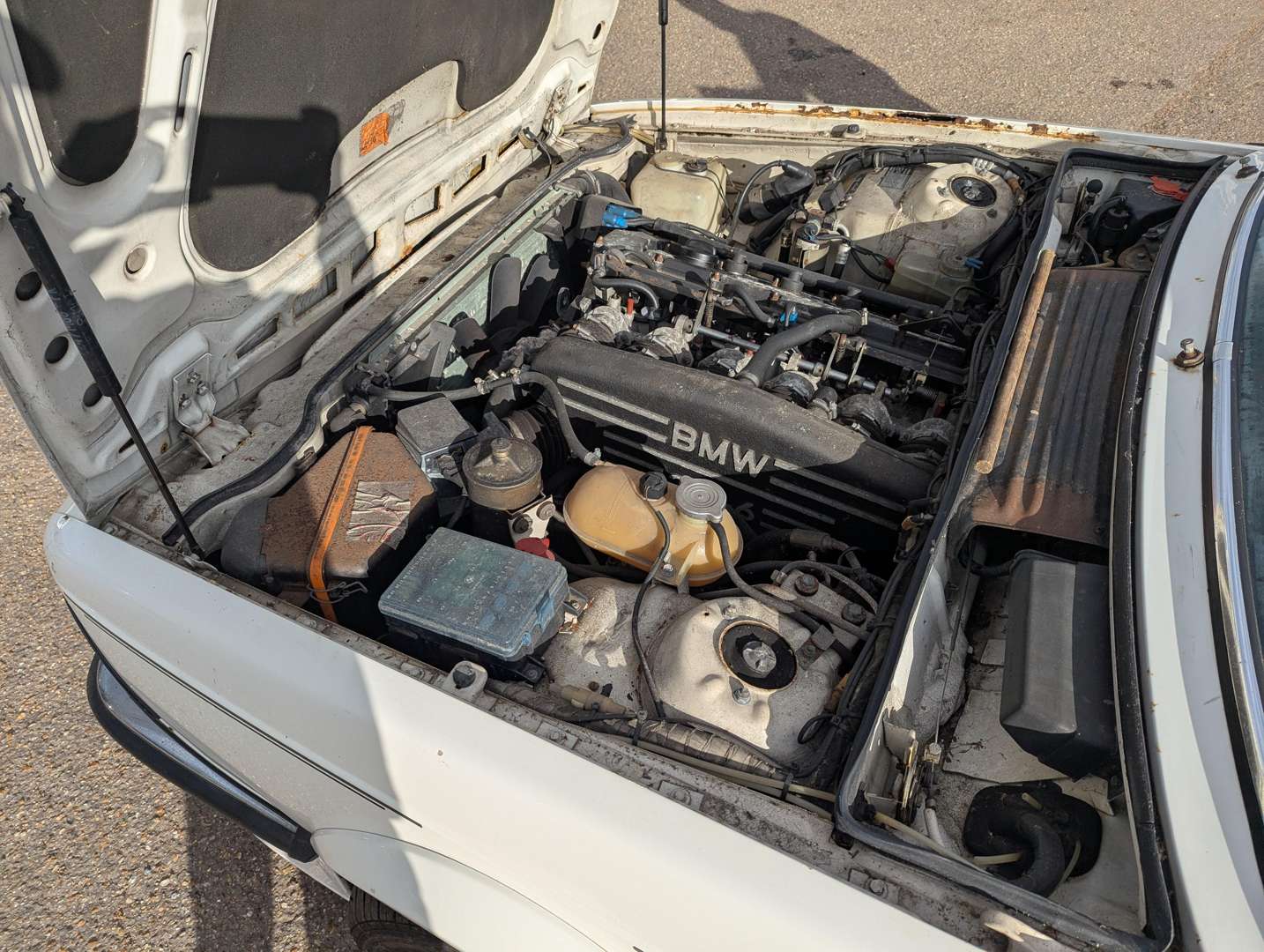 <p>1985 BMW M635 CSI MANUAL</p>