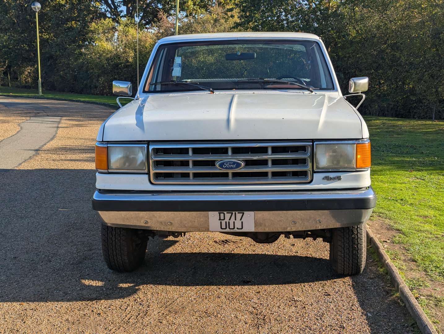 <p>1987 FORD F250 TRUCK LHD</p>