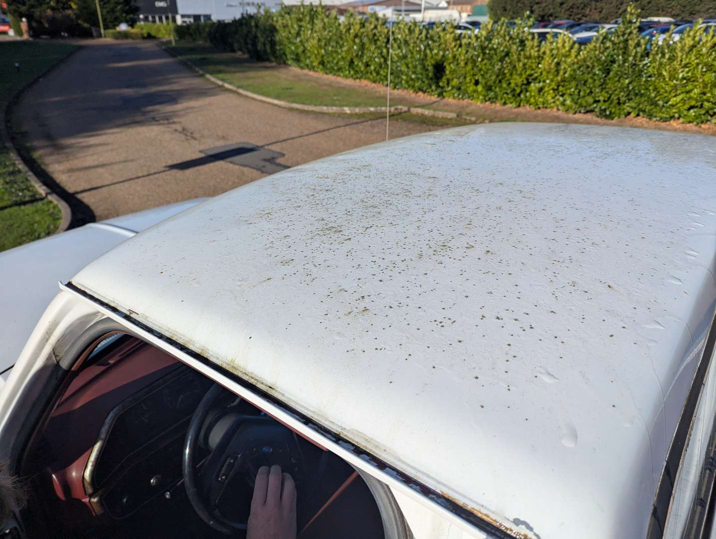 <p>1987 FORD F250 TRUCK LHD</p>