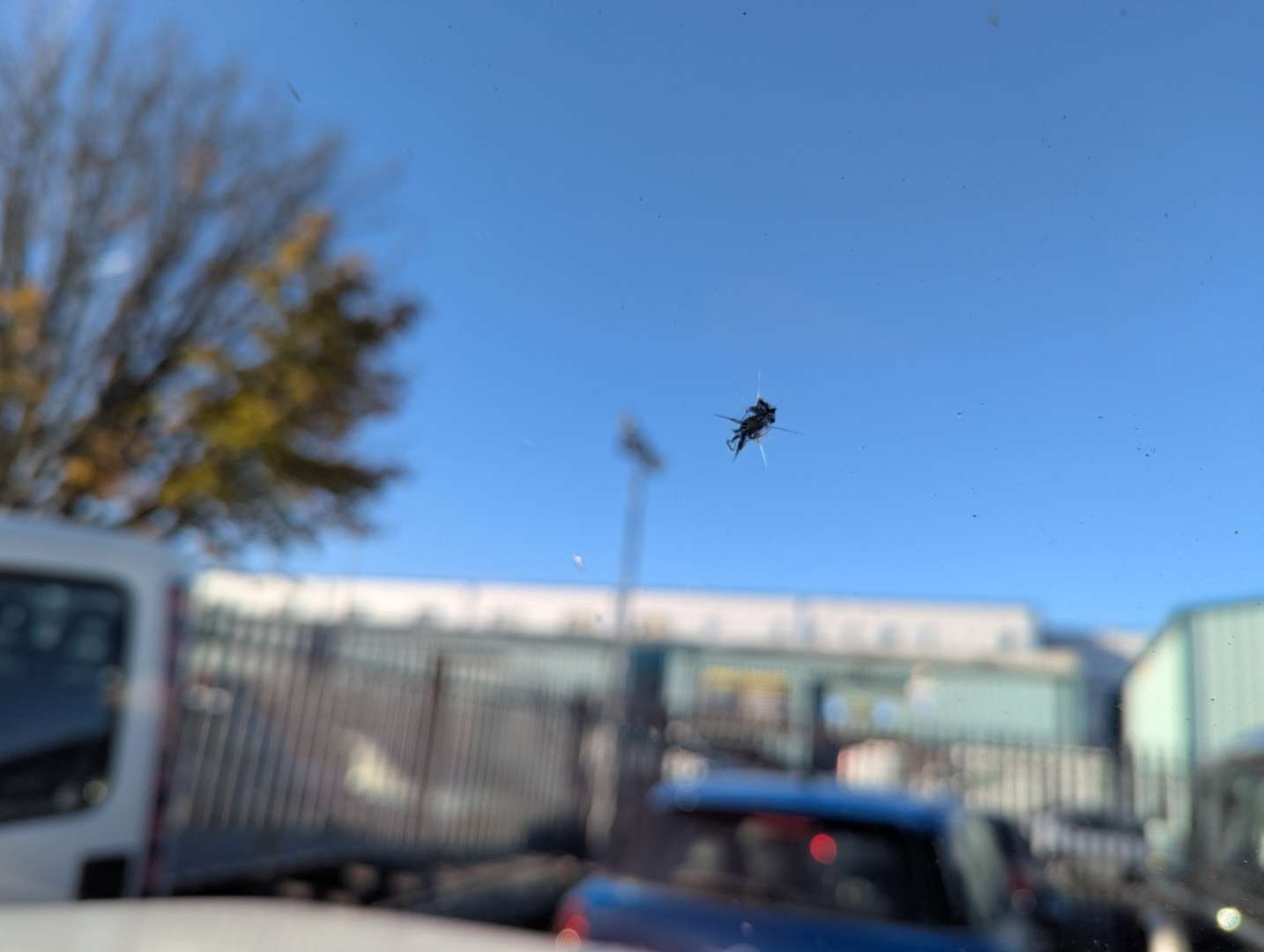 <p>1987 FORD F250 TRUCK LHD</p>