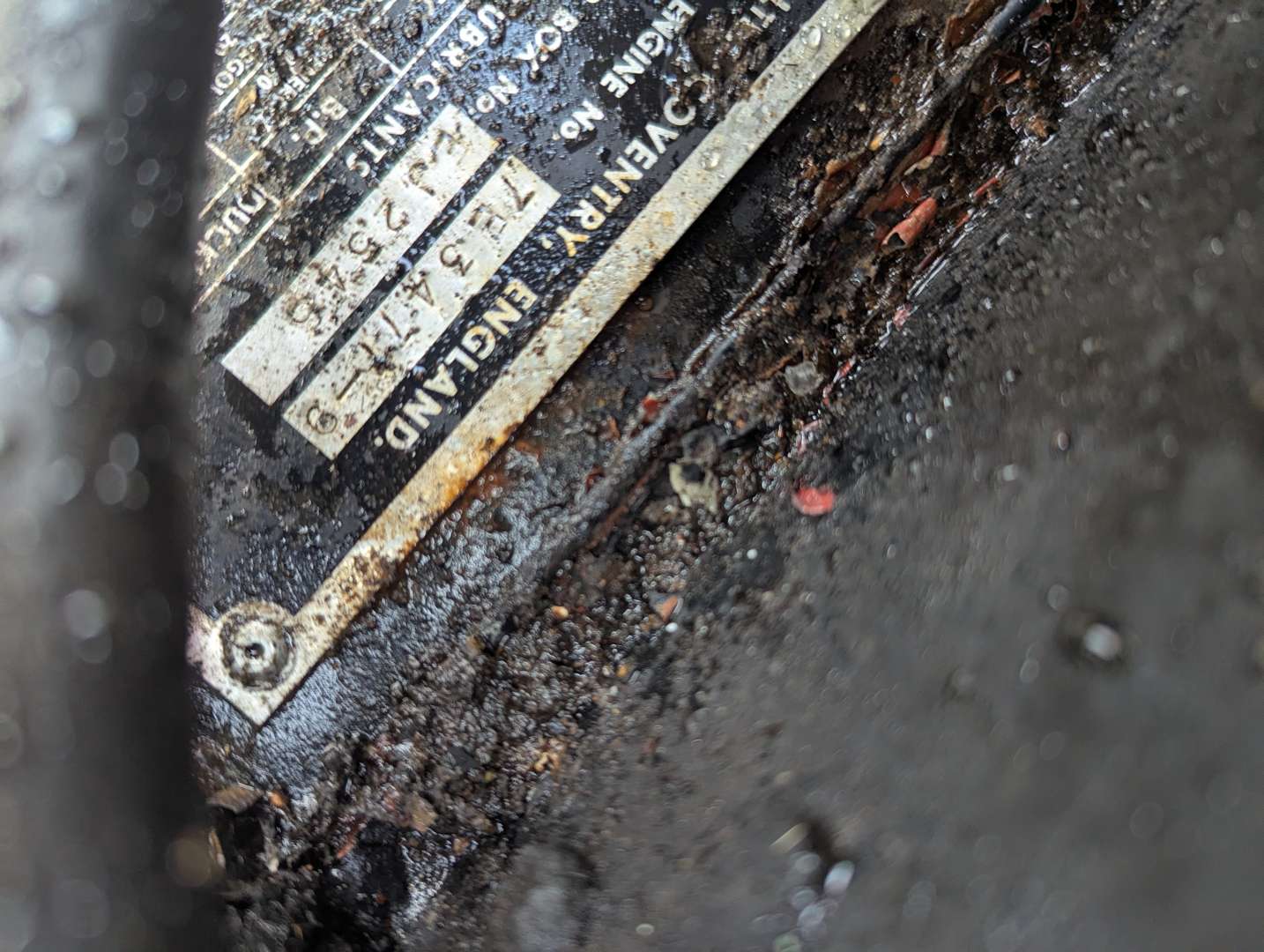 <p>1965 JAGUAR E-TYPE S1 4.2 FHC</p>