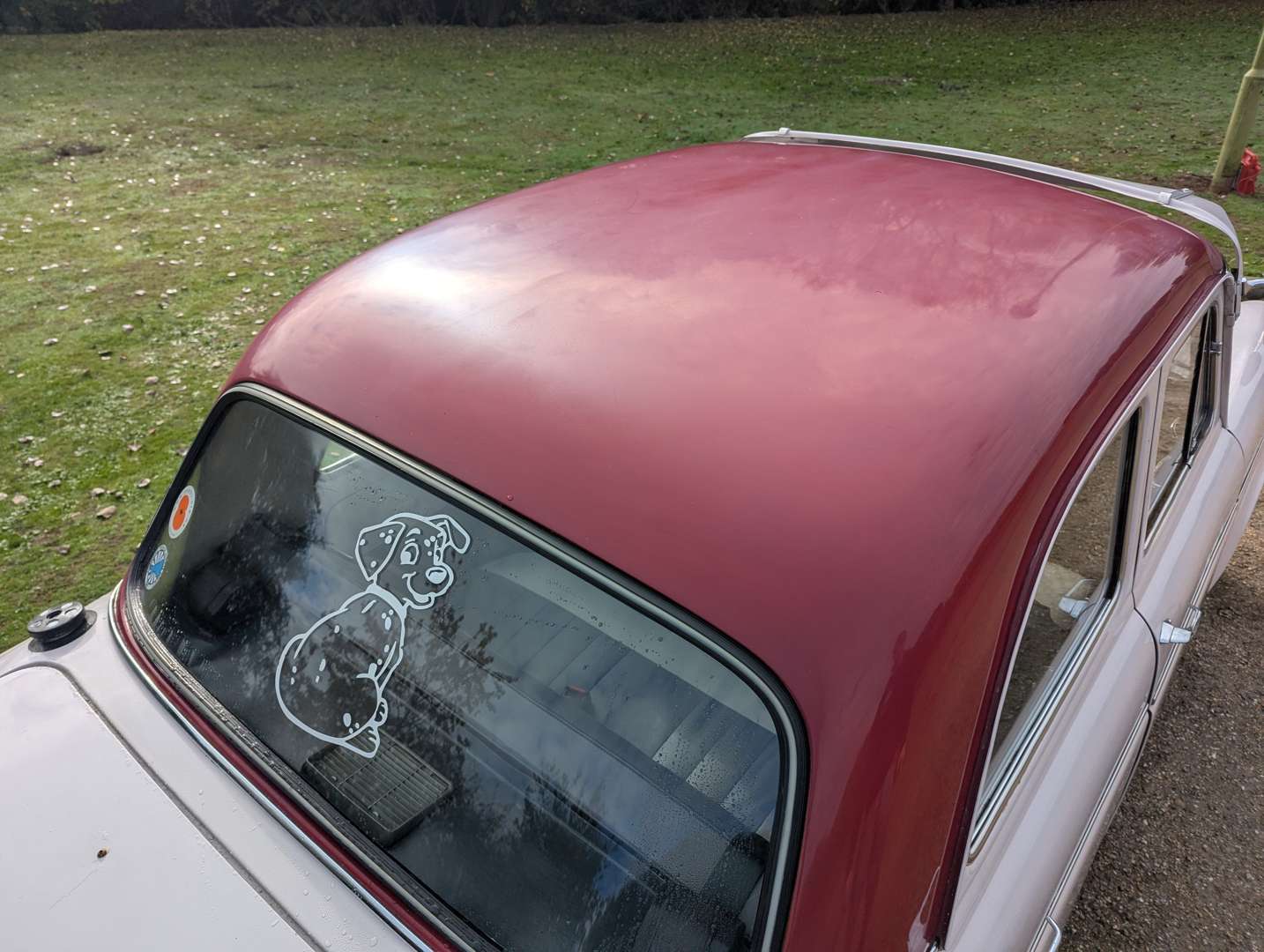 <p>1959 FORD PREFECT</p>