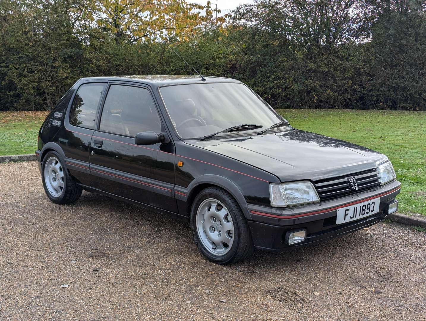 <p>1989 PEUGEOT 205 GTI</p>
