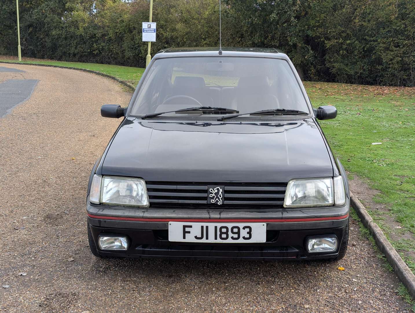 <p>1989 PEUGEOT 205 GTI</p>