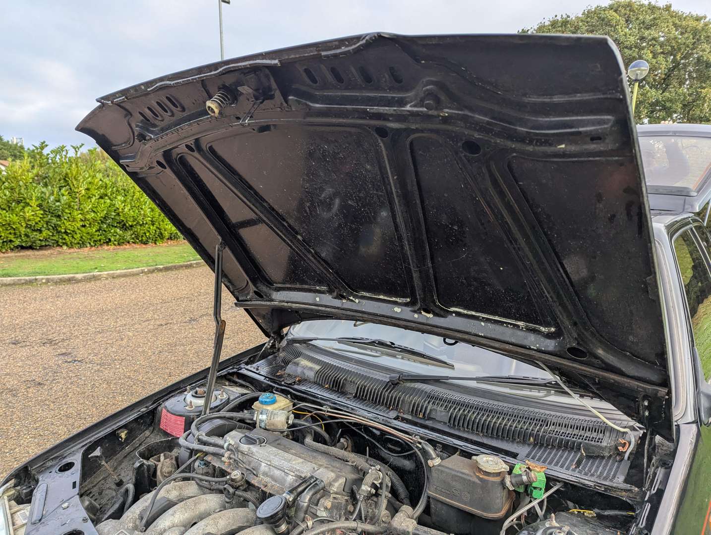 <p>1989 PEUGEOT 205 GTI</p>