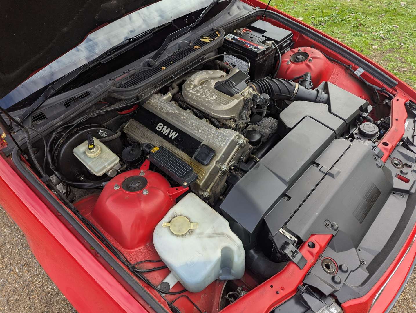 <p>1996 BMW 318TI - ONE REGISTERED OWNER</p>