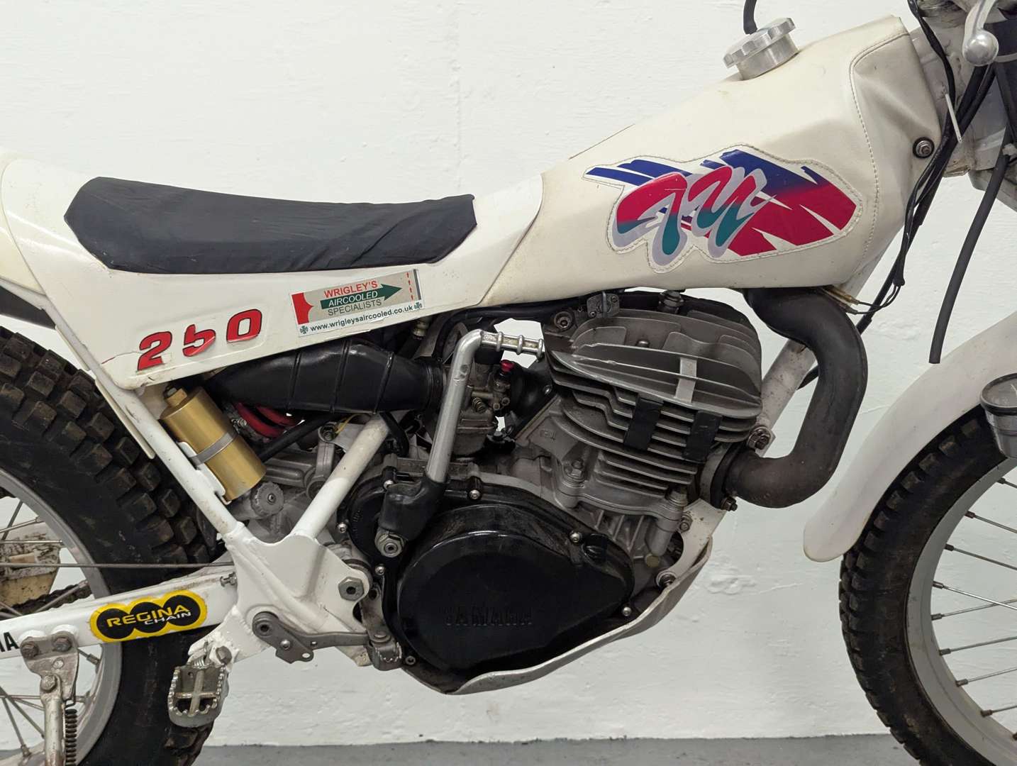 <p>1988 YAMAHA TY 250</p>