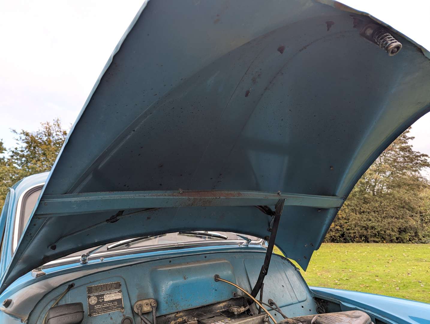 <p>1959 MORRIS MINOR</p>