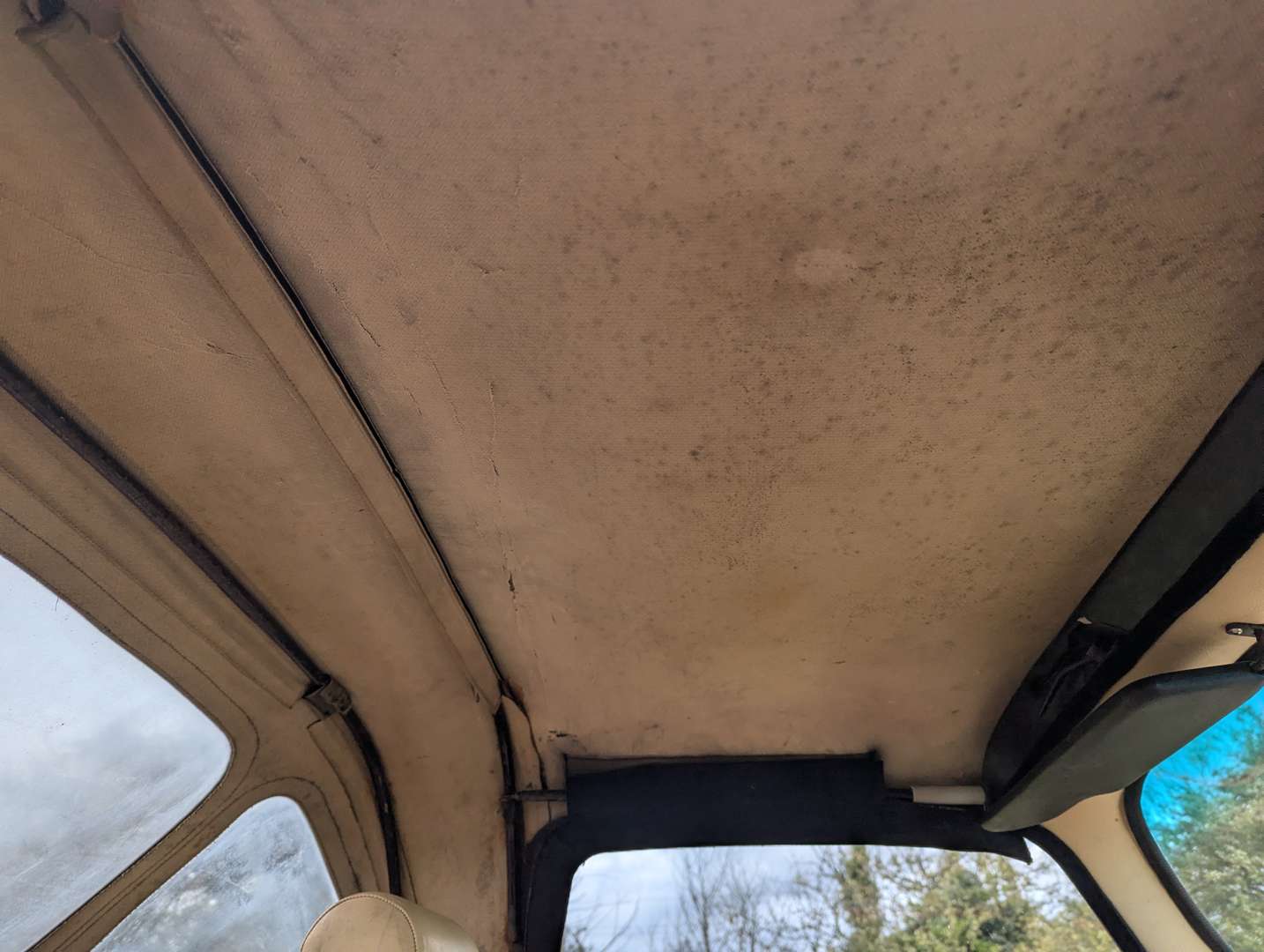 <p>1993 EVANTE GRAN PREMIO</p>