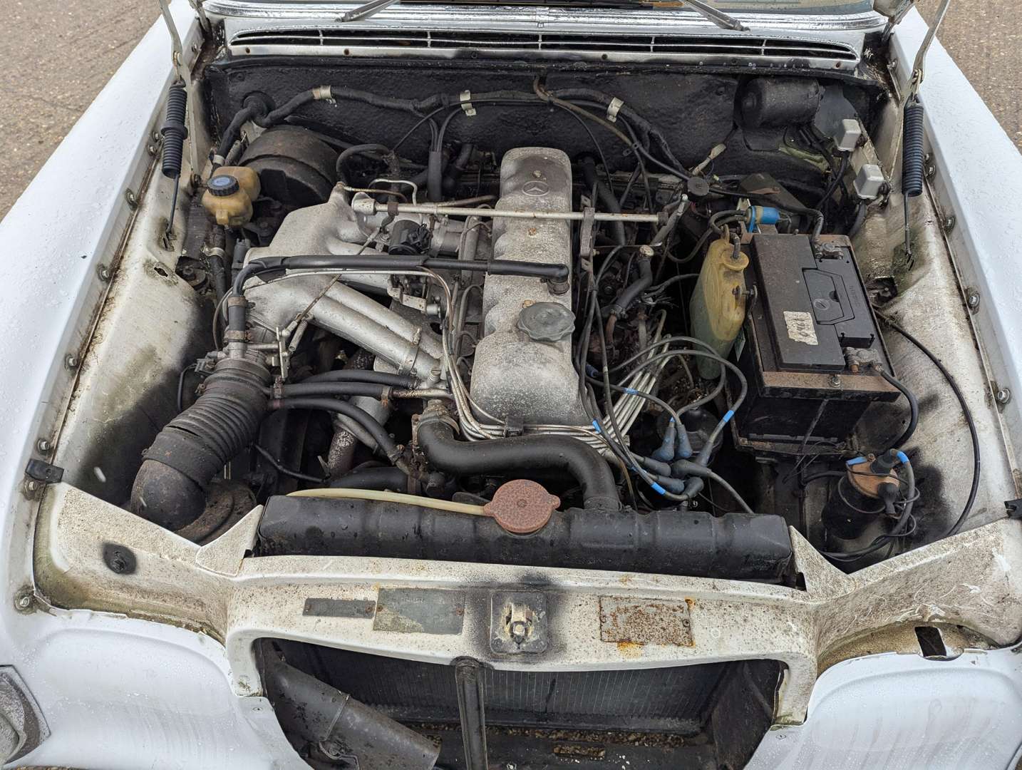 <p>1968 MERCEDES 250 SE</p>