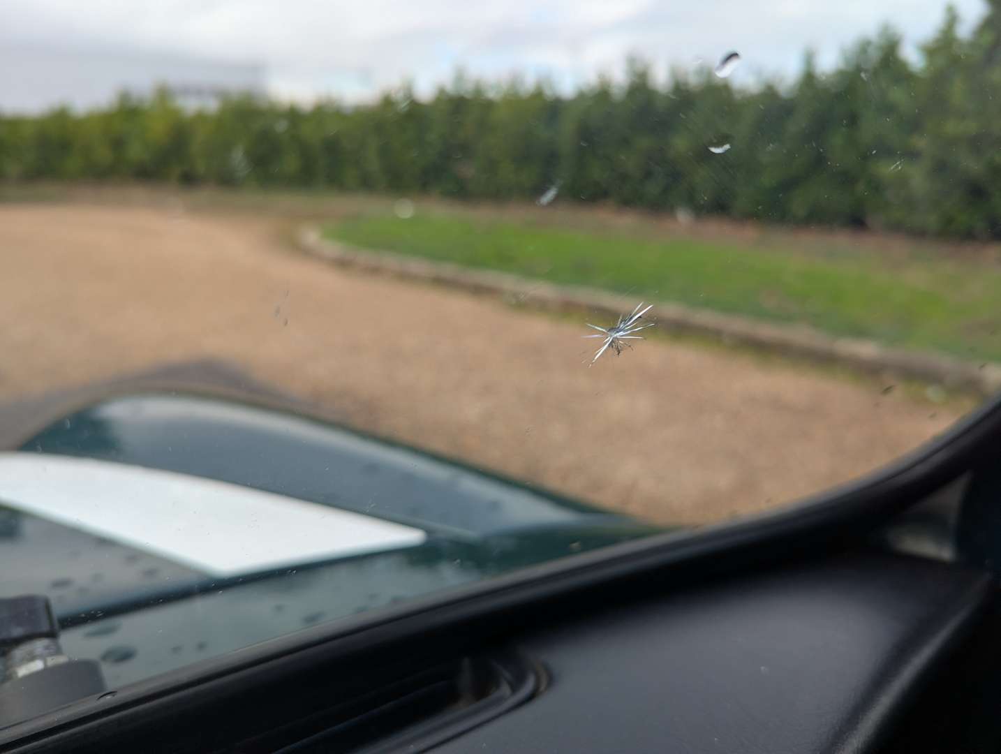 <p>1998 ROVER MINI COOPER</p>