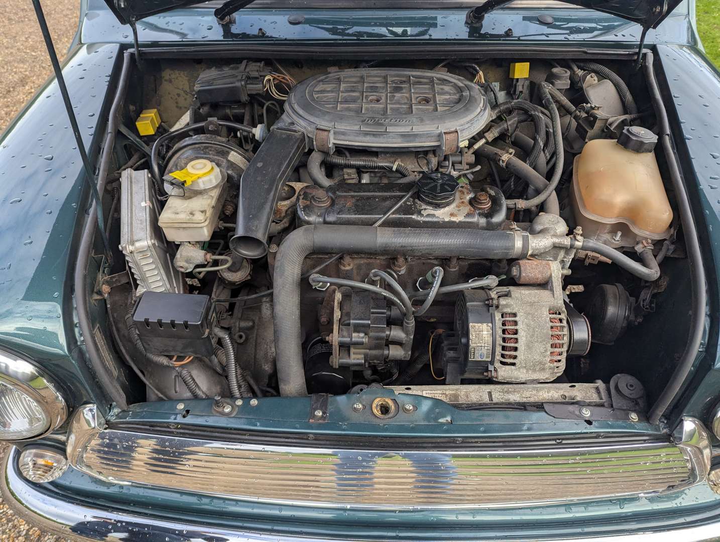 <p>1998 ROVER MINI COOPER</p>