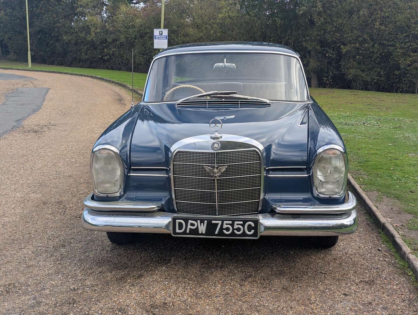 <p>1965 MERCEDES 220 SB</p>