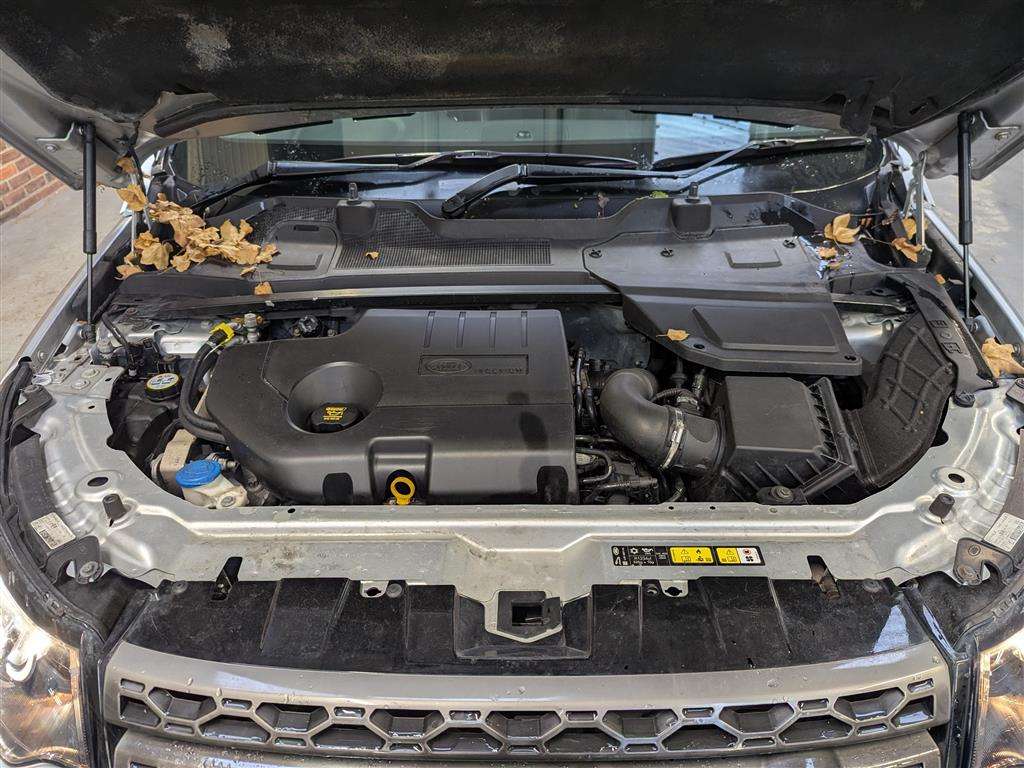 <p>2019 LAND ROVER</p>