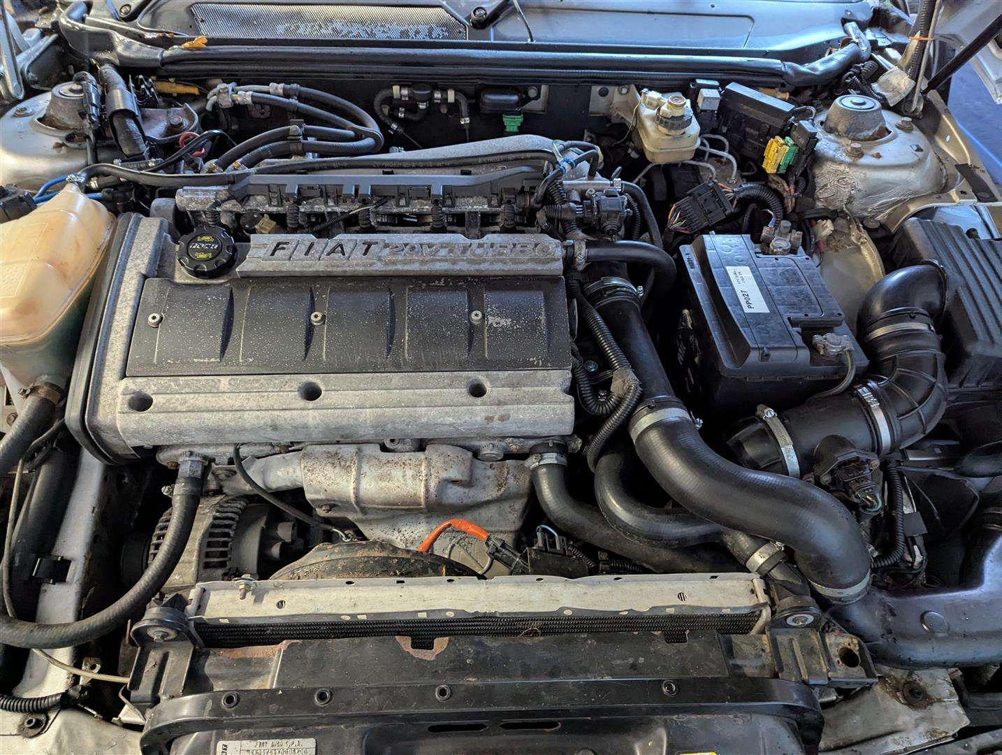 <p>1997 FIAT COUPE 20V TURBO</p>