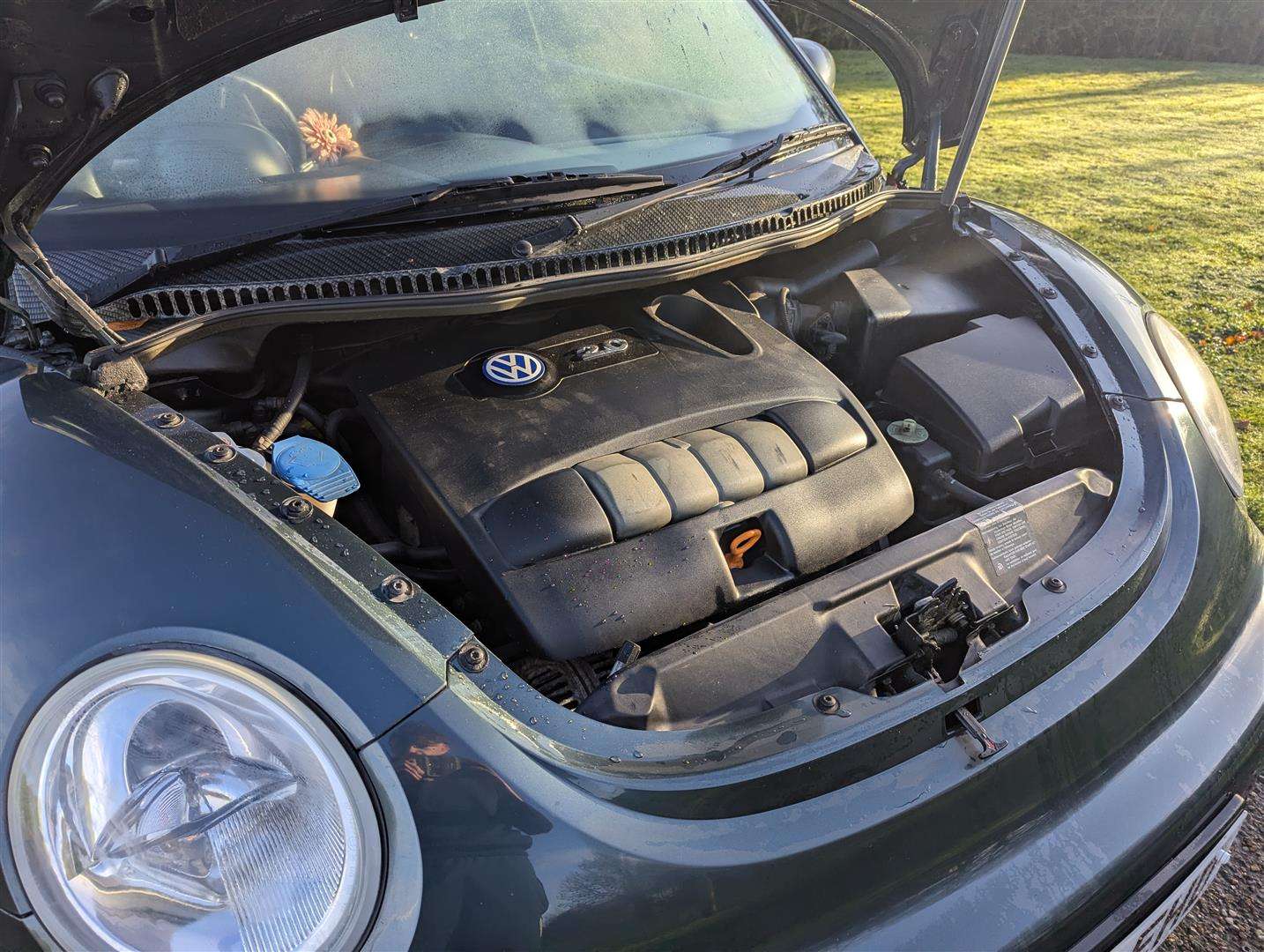 <p>2003 VOLKSWAGEN BEETLE CABRIOLET</p>