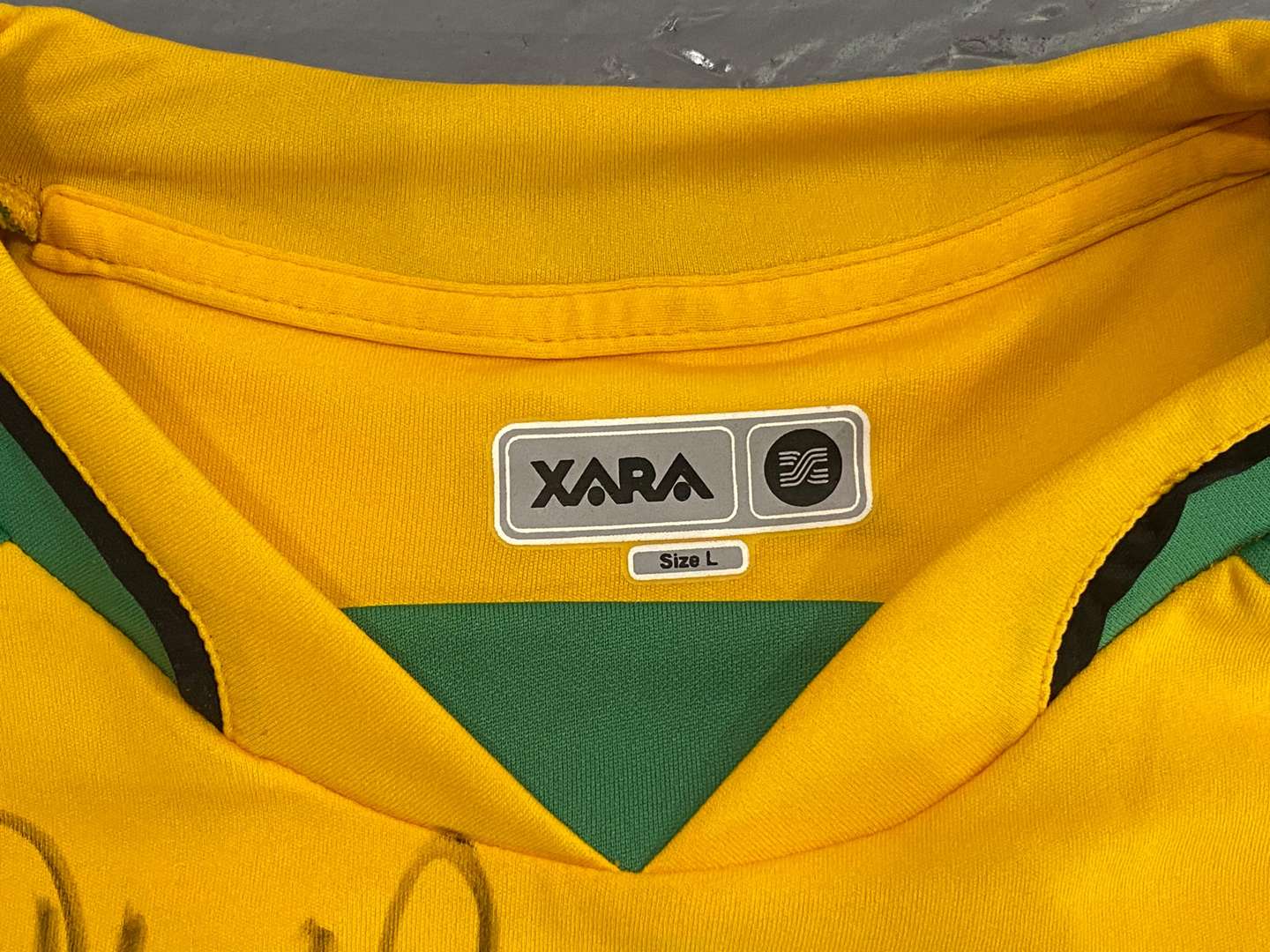 <p>NORWICH CITY, Proton, signed football shirt</p>