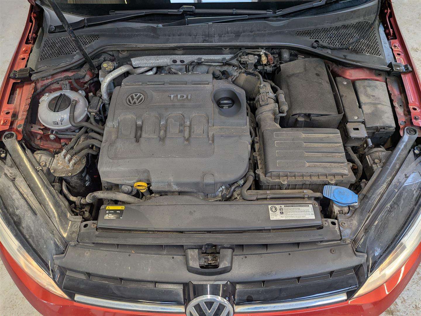 <p>2014 VOLKSWAGEN GOLF SE BLUEMOTION TECH T</p>