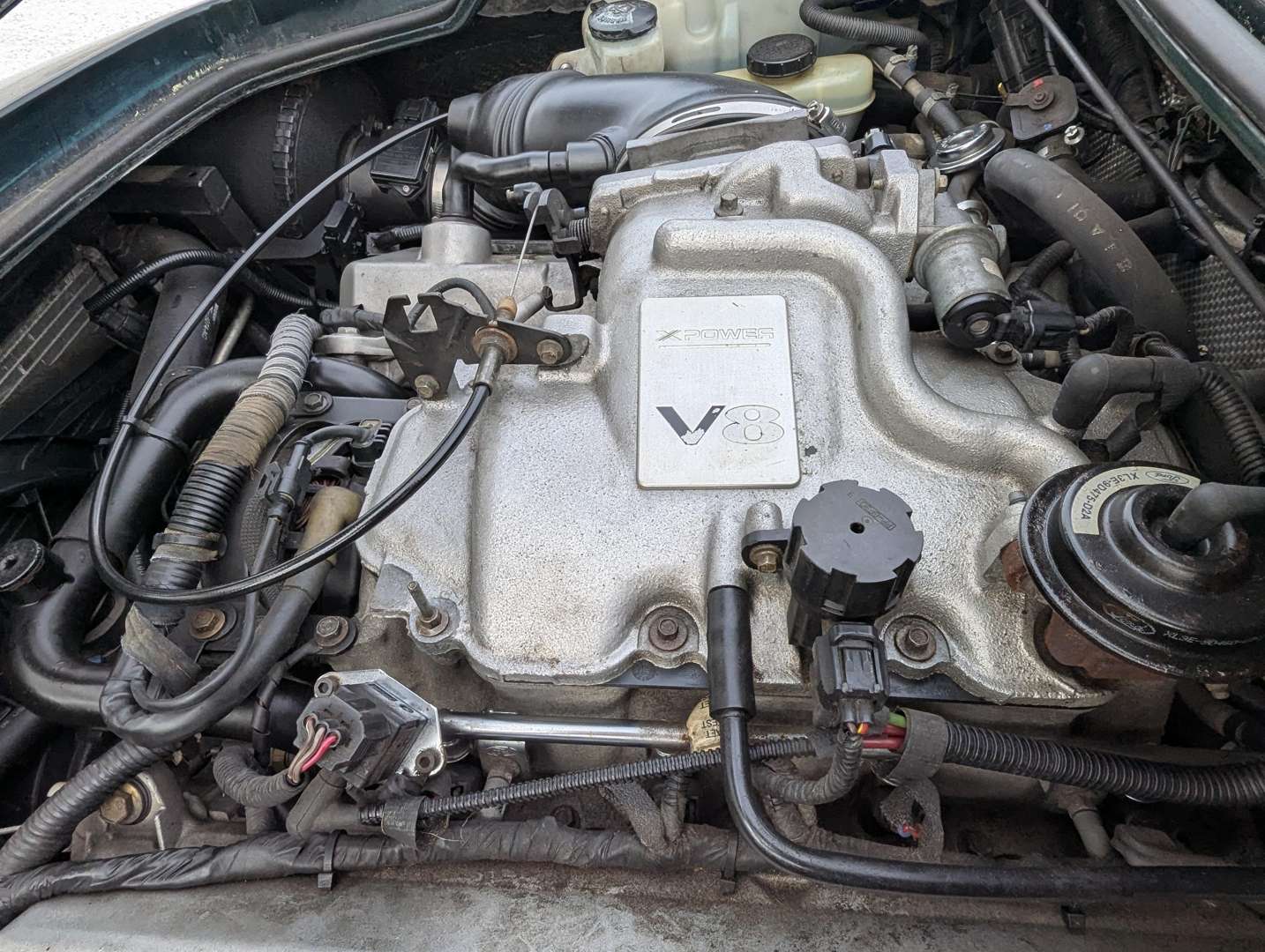 <p>2003 MG SV X-POWER</p>