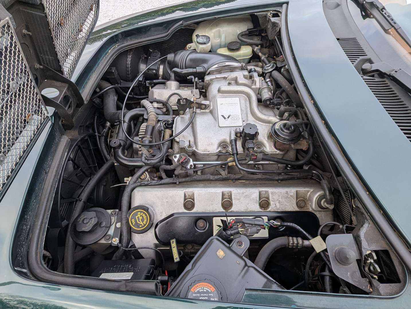 <p>2003 MG SV X-POWER</p>