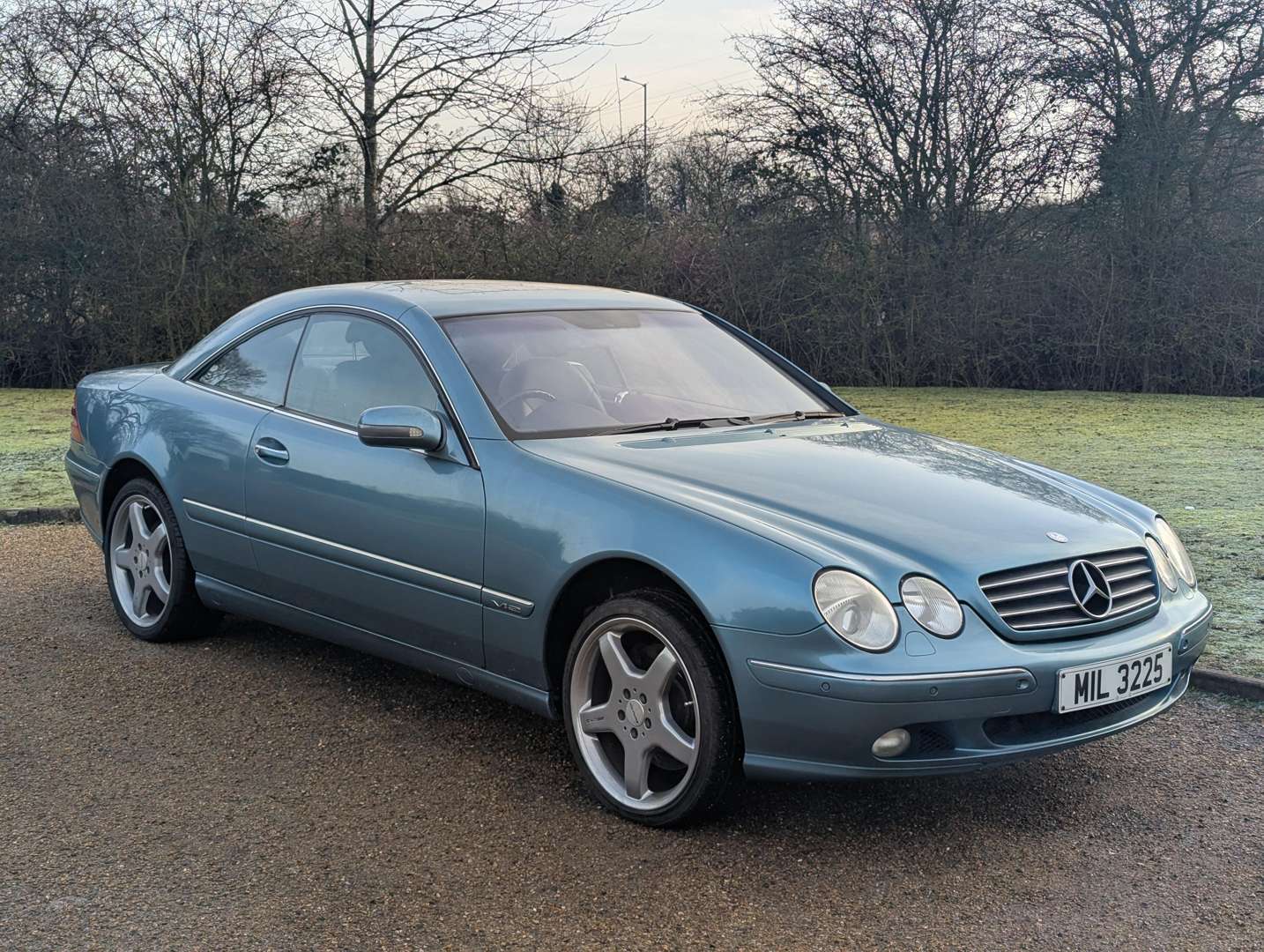 <p>2001 MERCEDES CL600 C215 AUTO</p>