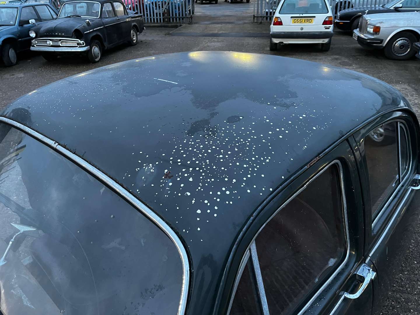 <p>1956 JAGUAR MKI</p>