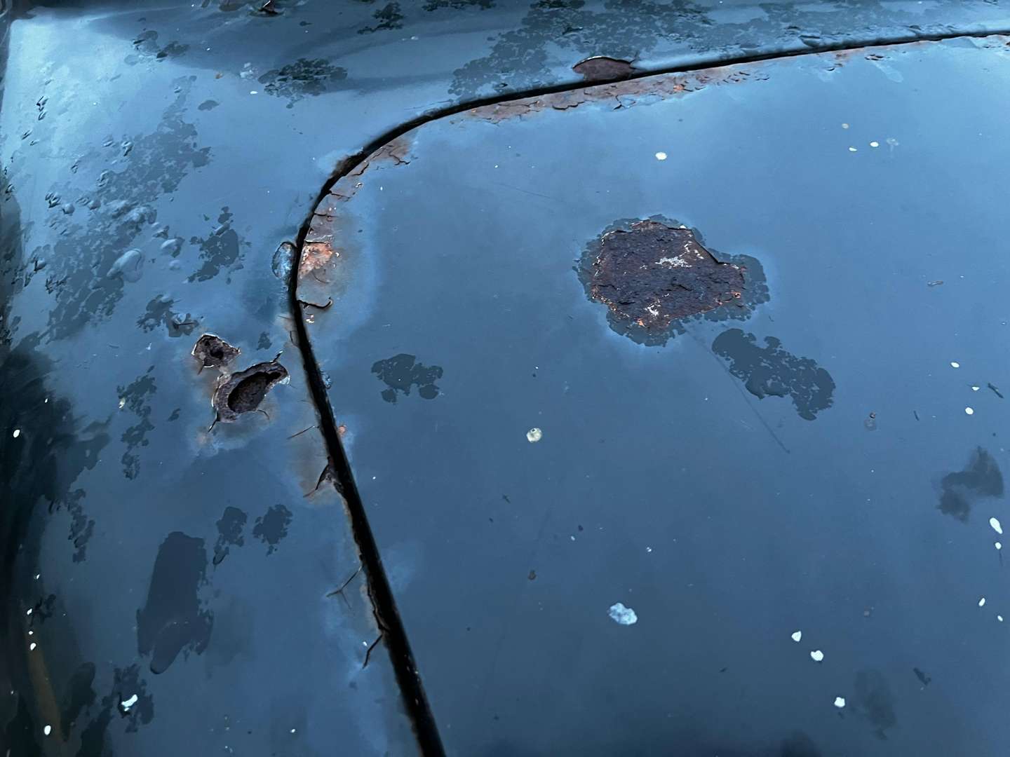 <p>1956 JAGUAR MKI</p>