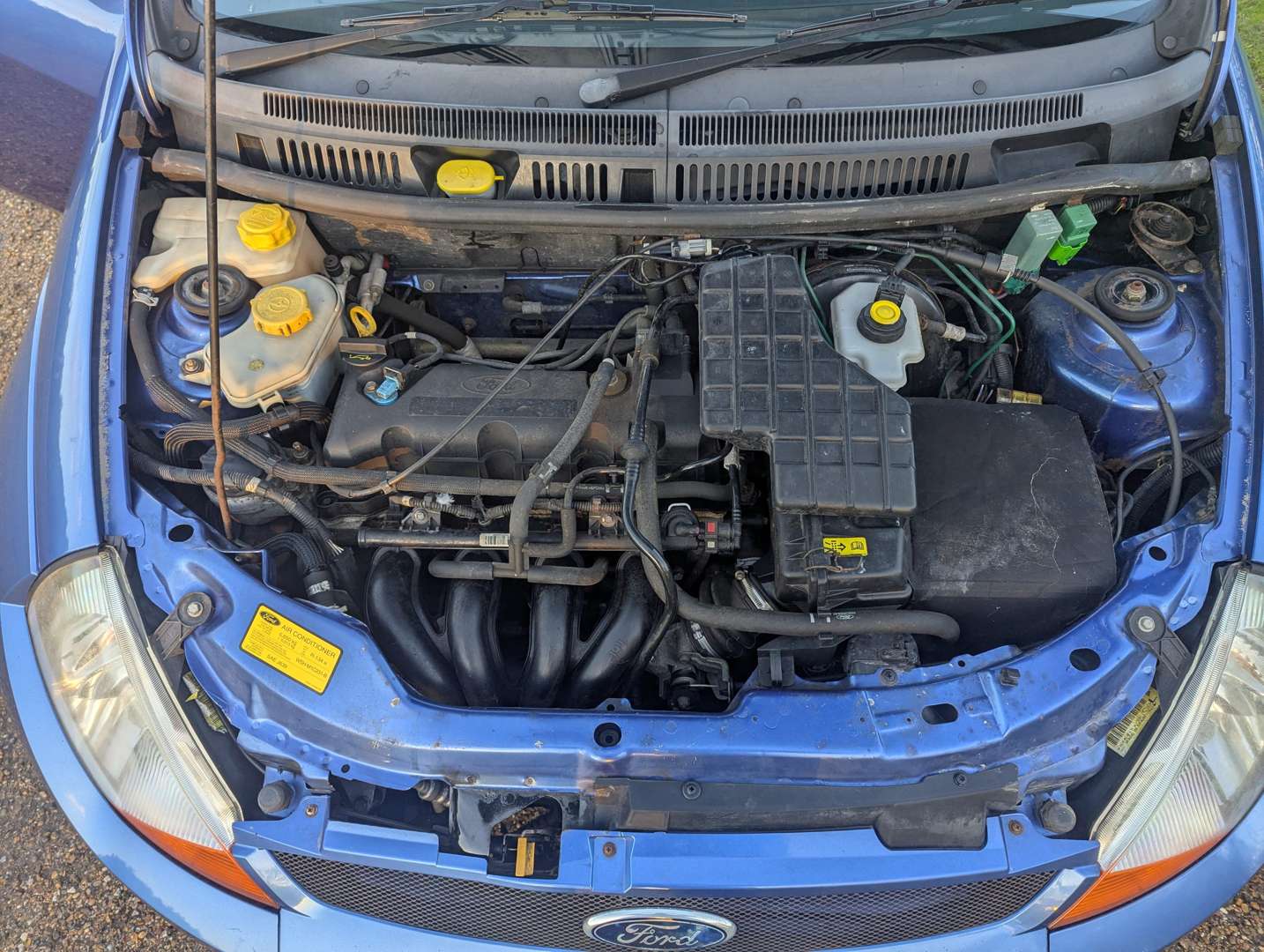 <p>2006 FORD STREETKA ICE</p>