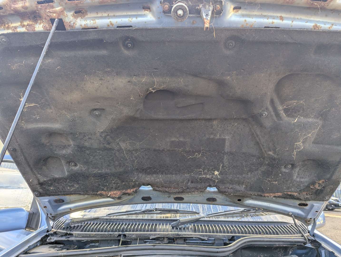 <p>1985 FORD SIERRA GHIA</p>