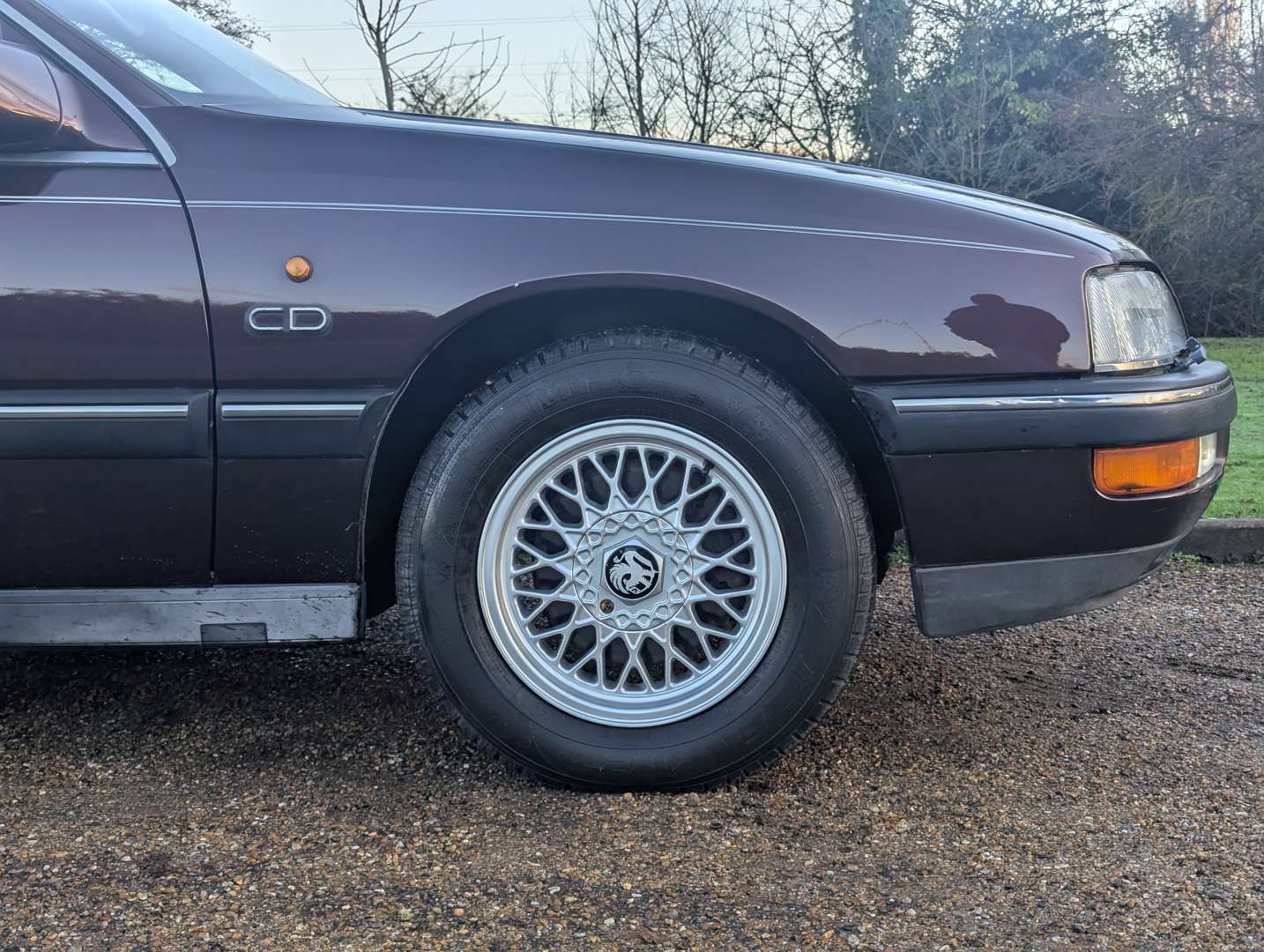 <p>1993 VAUXHALL SENATOR CD 24V AUTO</p>