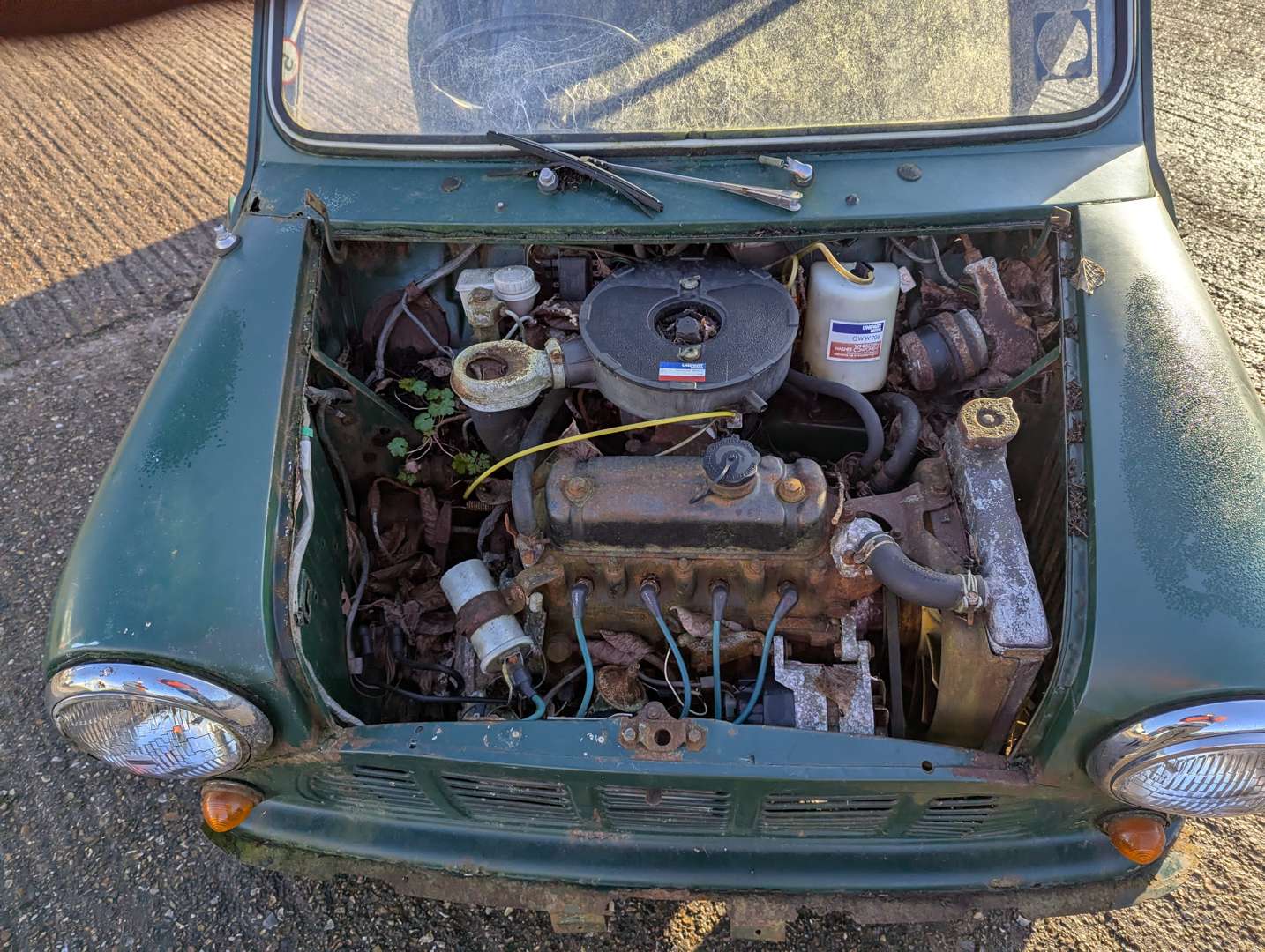 <p>1979 AUSTIN MORRIS MINI 850 PICK-UP</p>