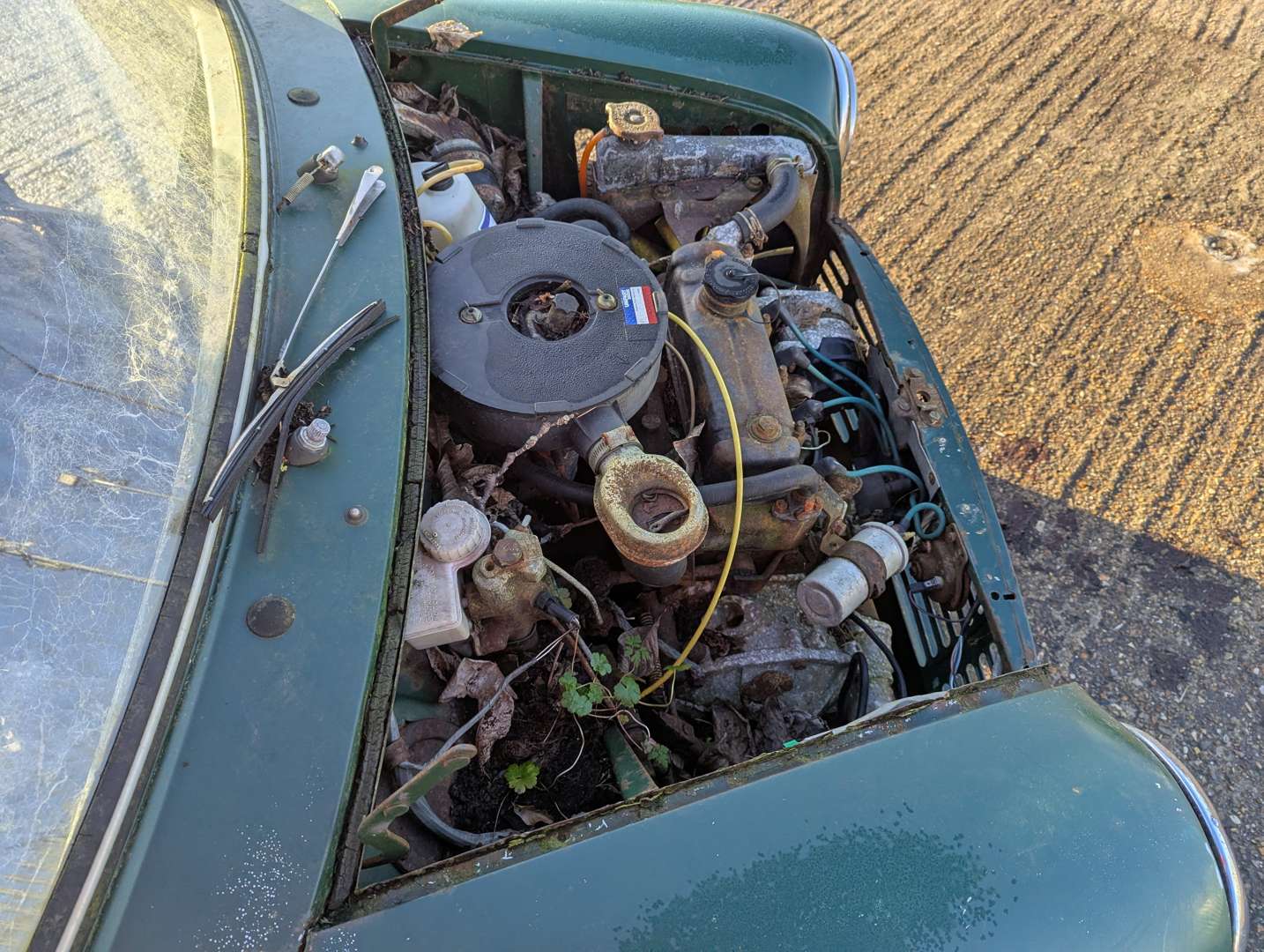 <p>1979 AUSTIN MORRIS MINI 850 PICK-UP</p>