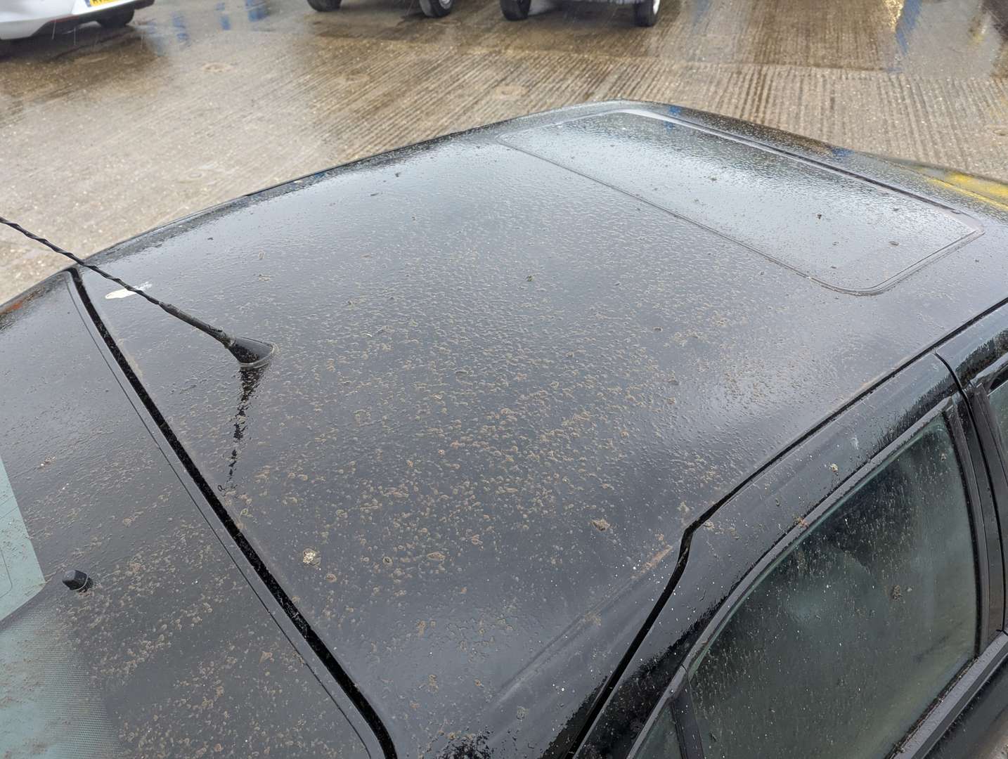 <p>1998 NISSAN PRIMERA GT</p>