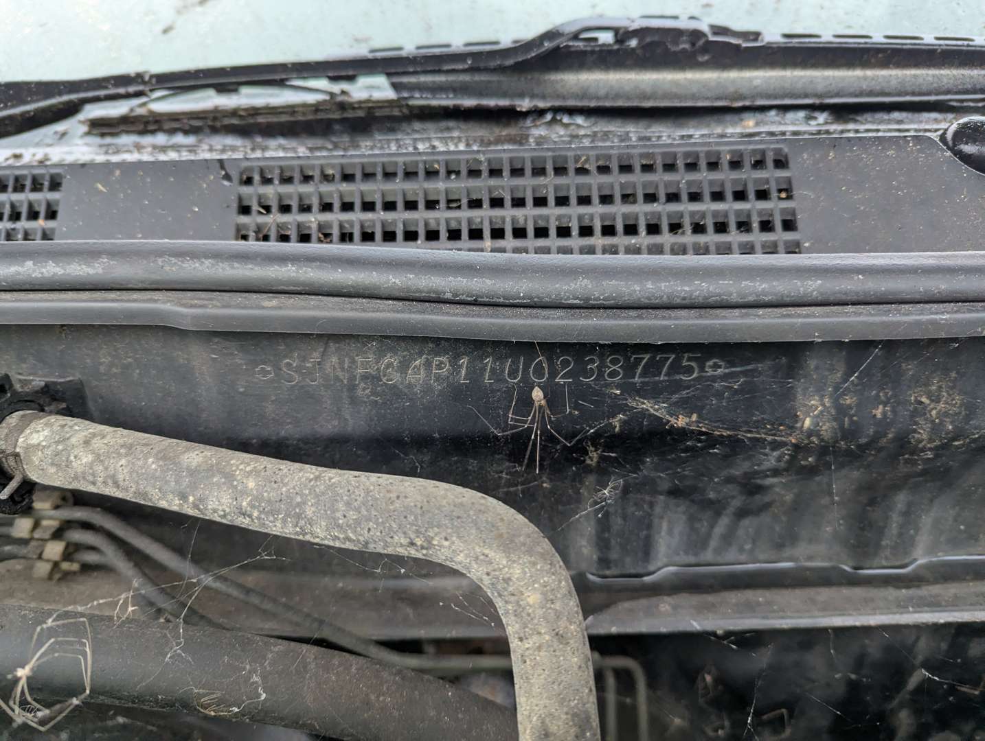 <p>1998 NISSAN PRIMERA GT</p>