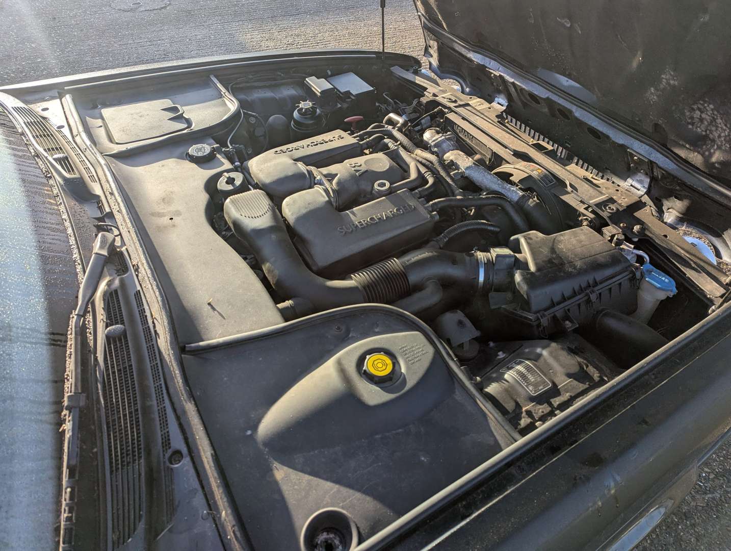 <p>1999 DAIMLER SUPER 4.0 V8 AUTO</p>