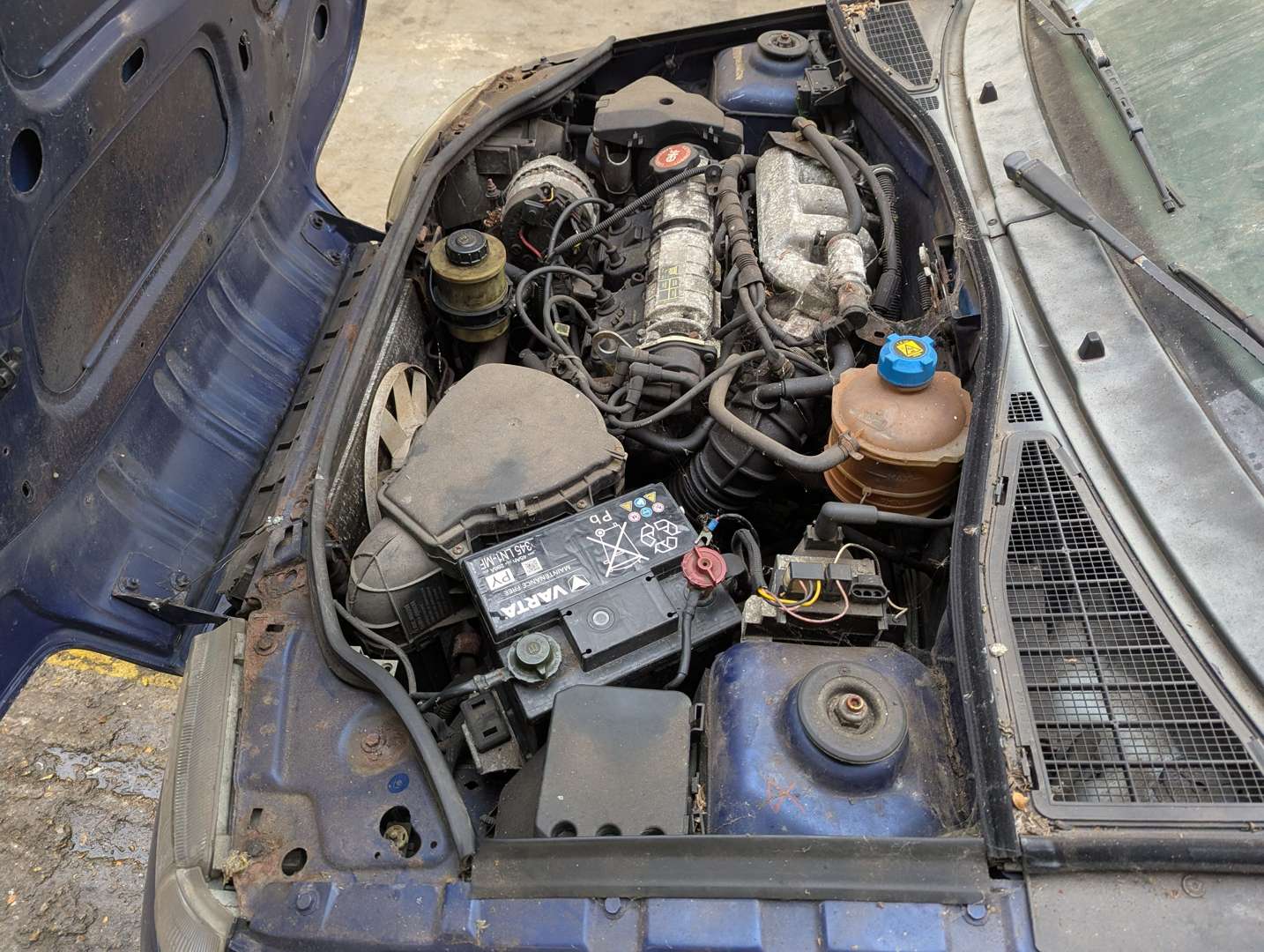 <p>1996 RENAULT CLIO RSI</p>